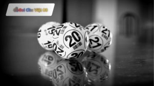 Lô kép nuôi khung 2 ngày – Kép ngắn hạn, tỷ lệ trúng cao