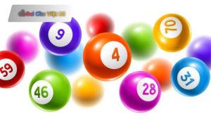 Nuôi Lô Bạch Thủ Khung 5 Ngày – Cầu Bền Dài Hạn, Ăn Chắc